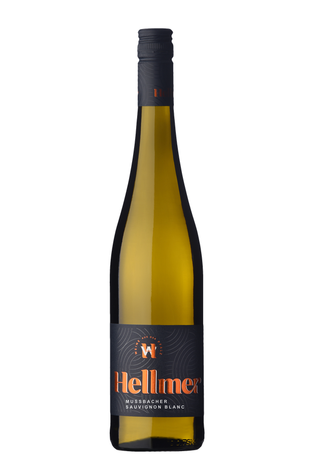 2024er Sauvignon Blanc trocken -BIO-